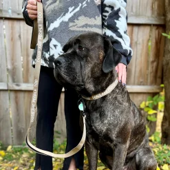 Dog Leash - Accessories